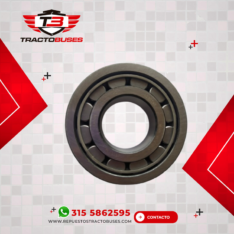 RODILLO TREN FIJO PARTE TRASERA CAJA 16918 4308398- 4302712/6029